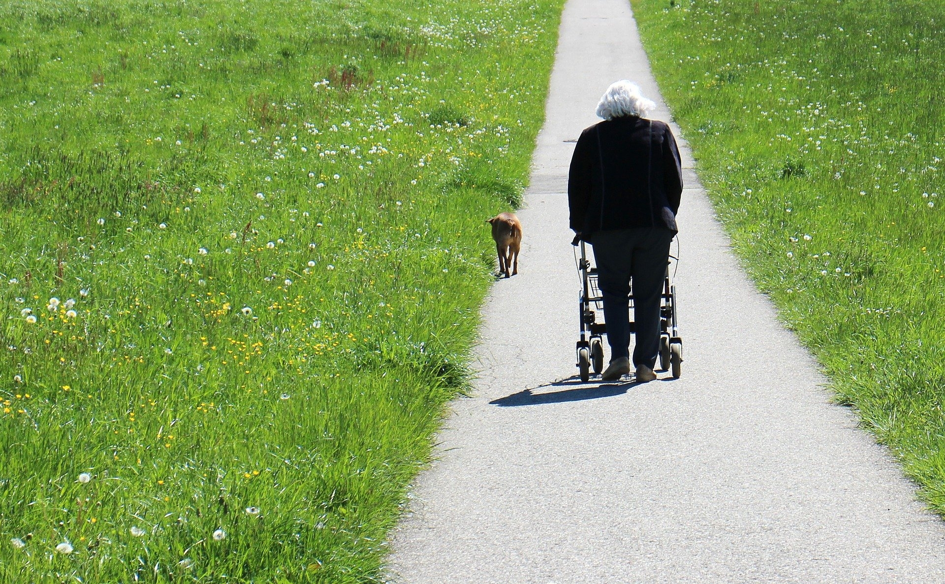 Frau mit Hund und Rollator geht über einen Weg im Grünen