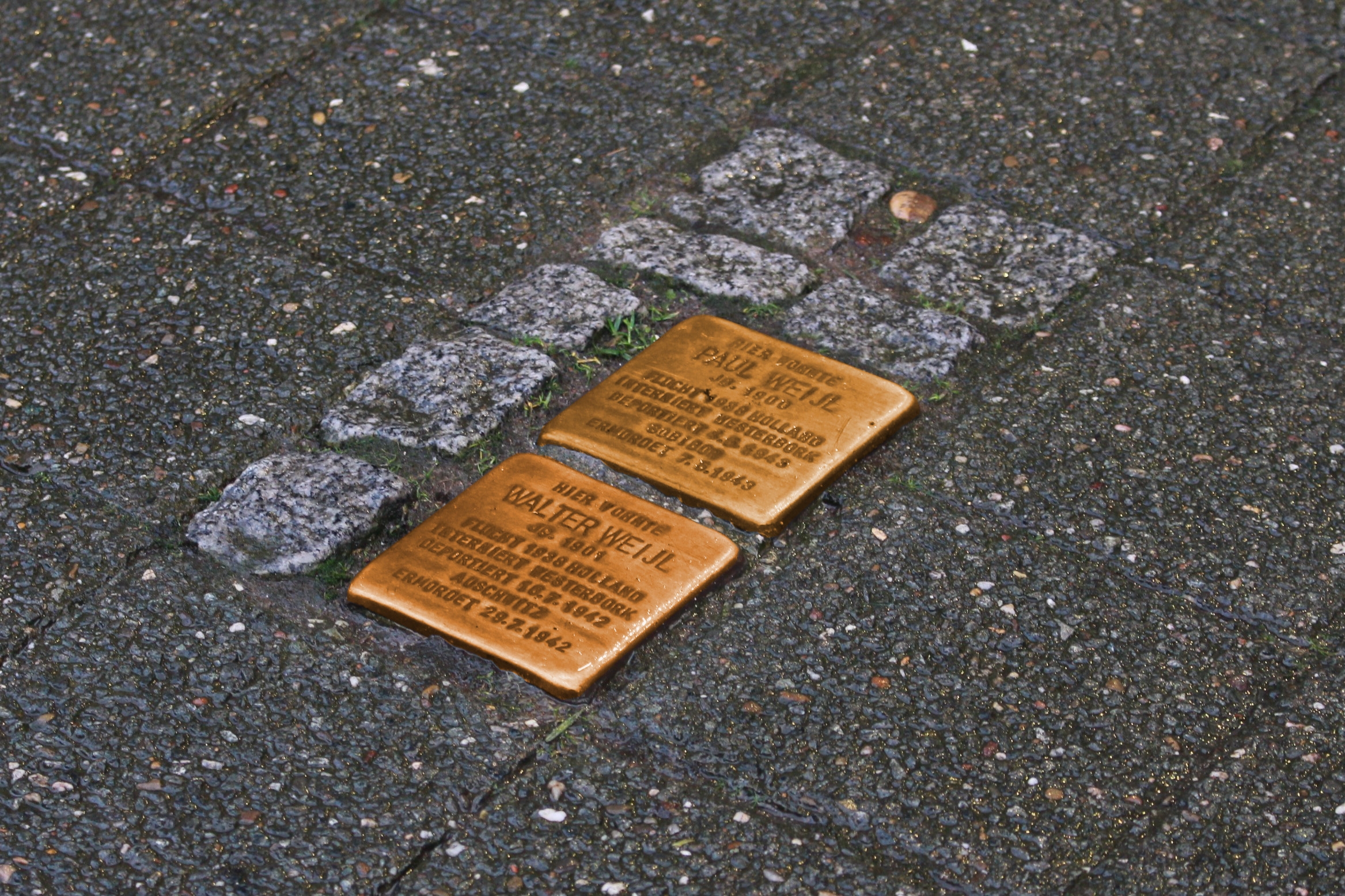 Stolpersteine im Straßenpflaster