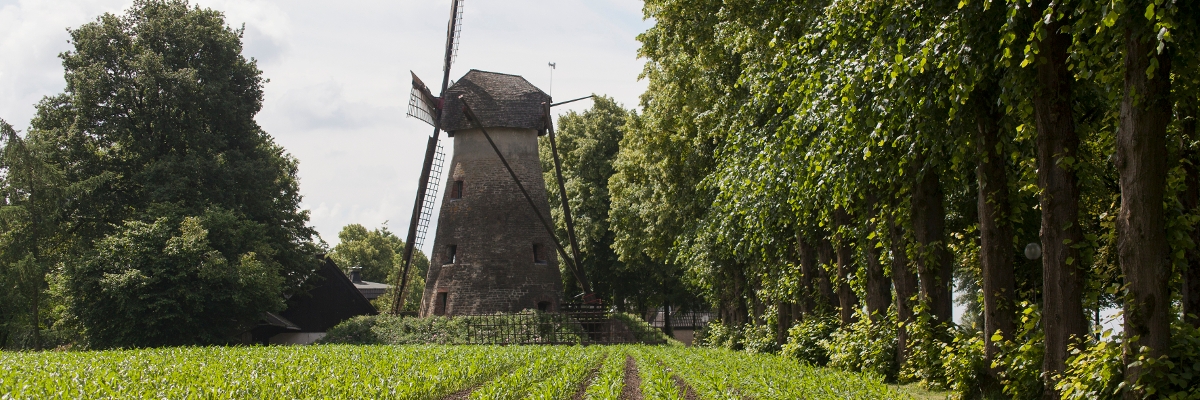 Bergwindmühle mit Acker im Vordergrund