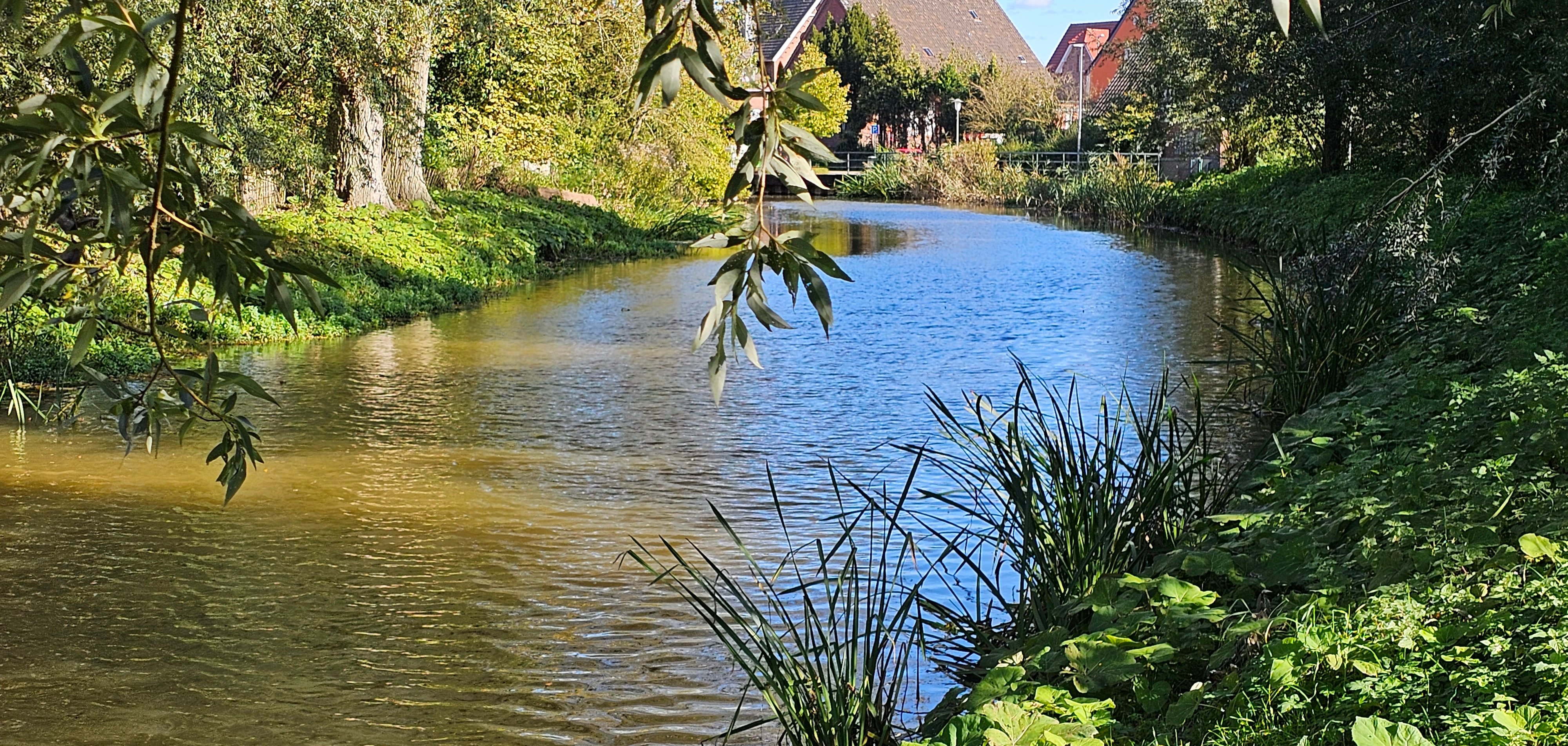 Sie sehen: einen Wasserlauf (die Vechte in Langenhorst)