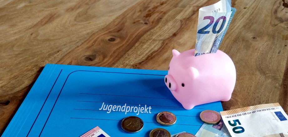 Sie sehen: Geldmünzen und -scheine, ein Sparschwein und eine Akte mit der Aufschrift "Jugendprojekt"