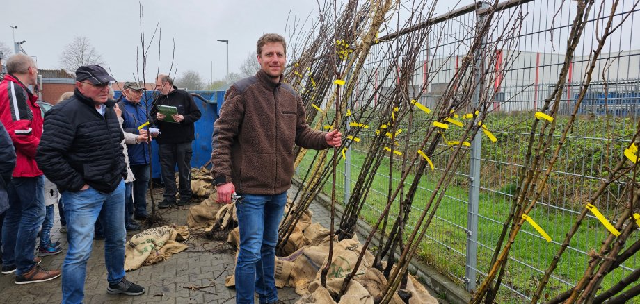 Sie sehen: eine Reihe Junger Pflanzbäume mit Ballen und Personen