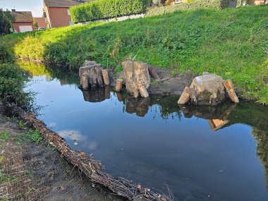 Sie sehen: einen Bachlauf mit Holz als Strömungslenker