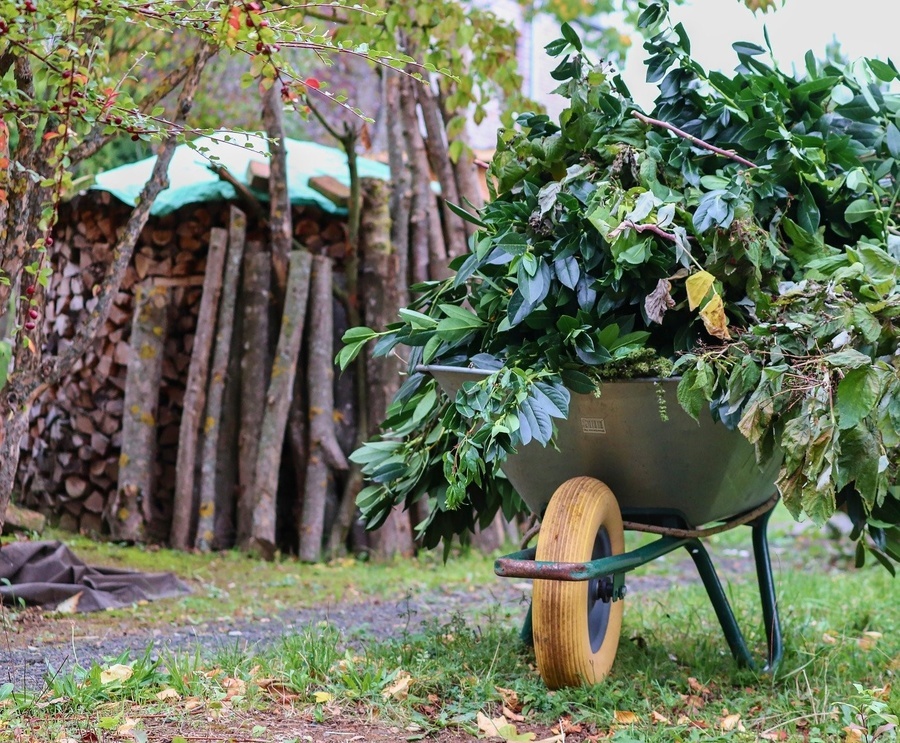 Schubkarre mit Grünschnitt im Garten
