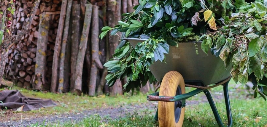 Schubkarre mit Grünschnitt im Garten