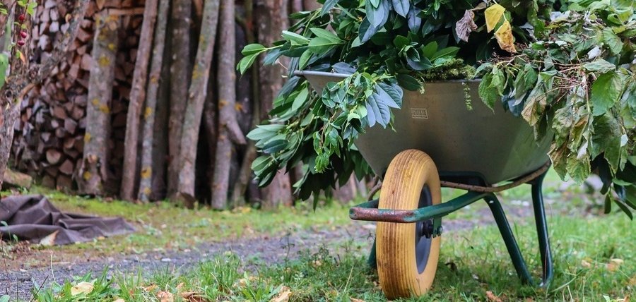 Schubkarre mit Grünschnitt im Garten