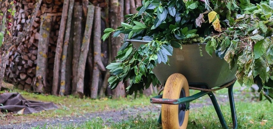 Schubkarre mit Grünschnitt im Garten
