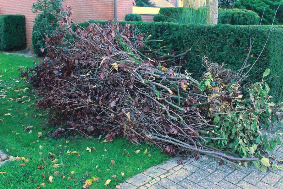 gebündelter Grünschnitt an der Straße