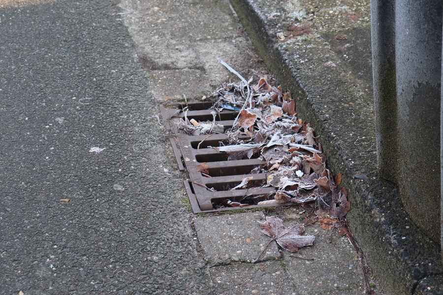 Gully mit Laub am Straßenrand