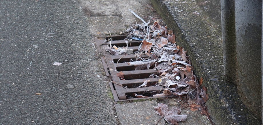 Gully mit Laub am Straßenrand