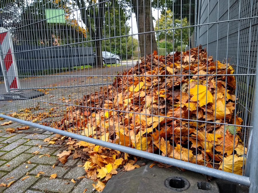 Laubhaufen in einer Gitterbox