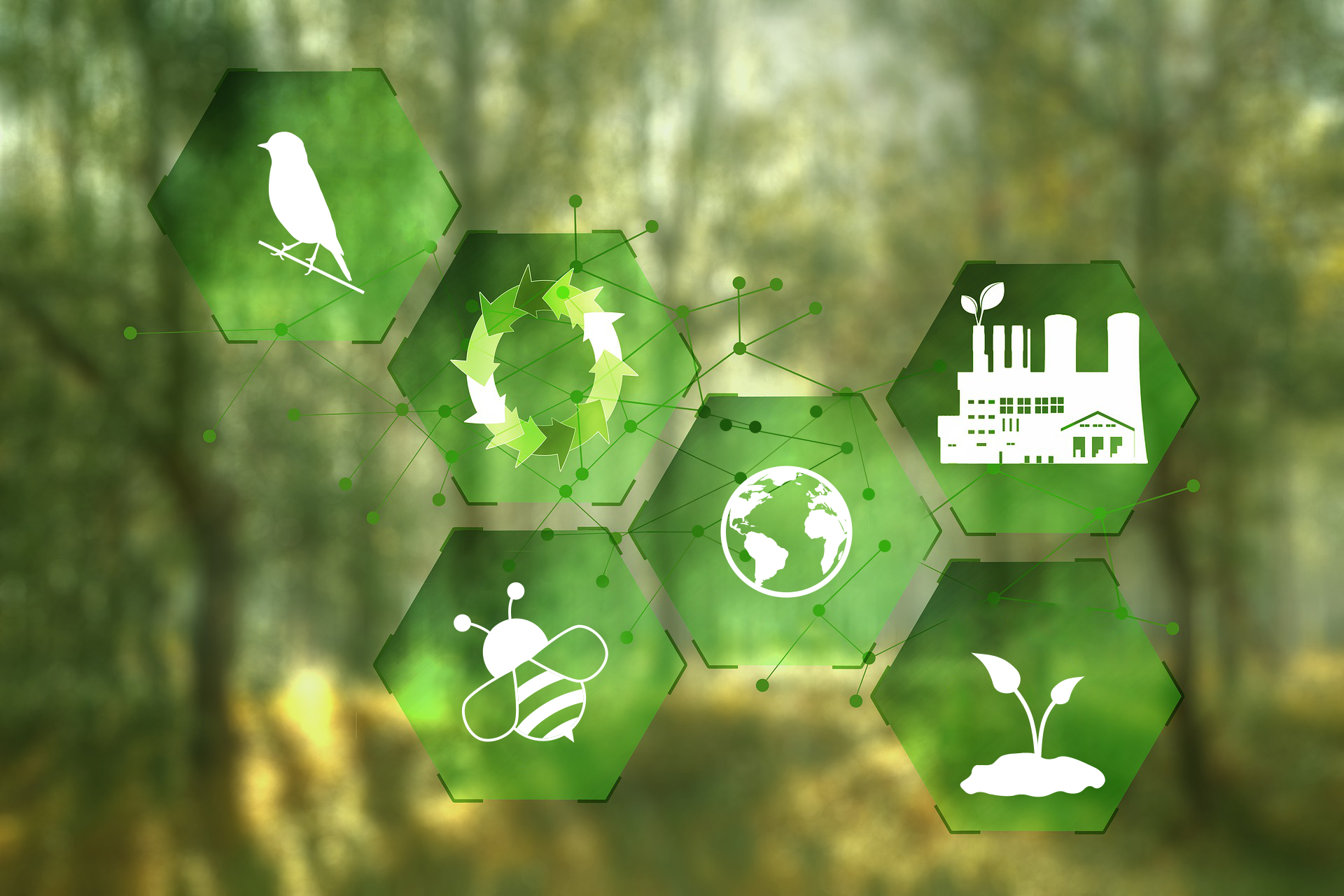 Sie sehen: Grüne Grafik mit Symbolen von Umweltthemen aus Flora, Fauna und nachhaltiger Technologie