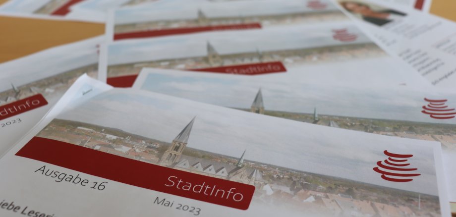 Sie sehen: Ausgaben des StadtInfo-Newsletters