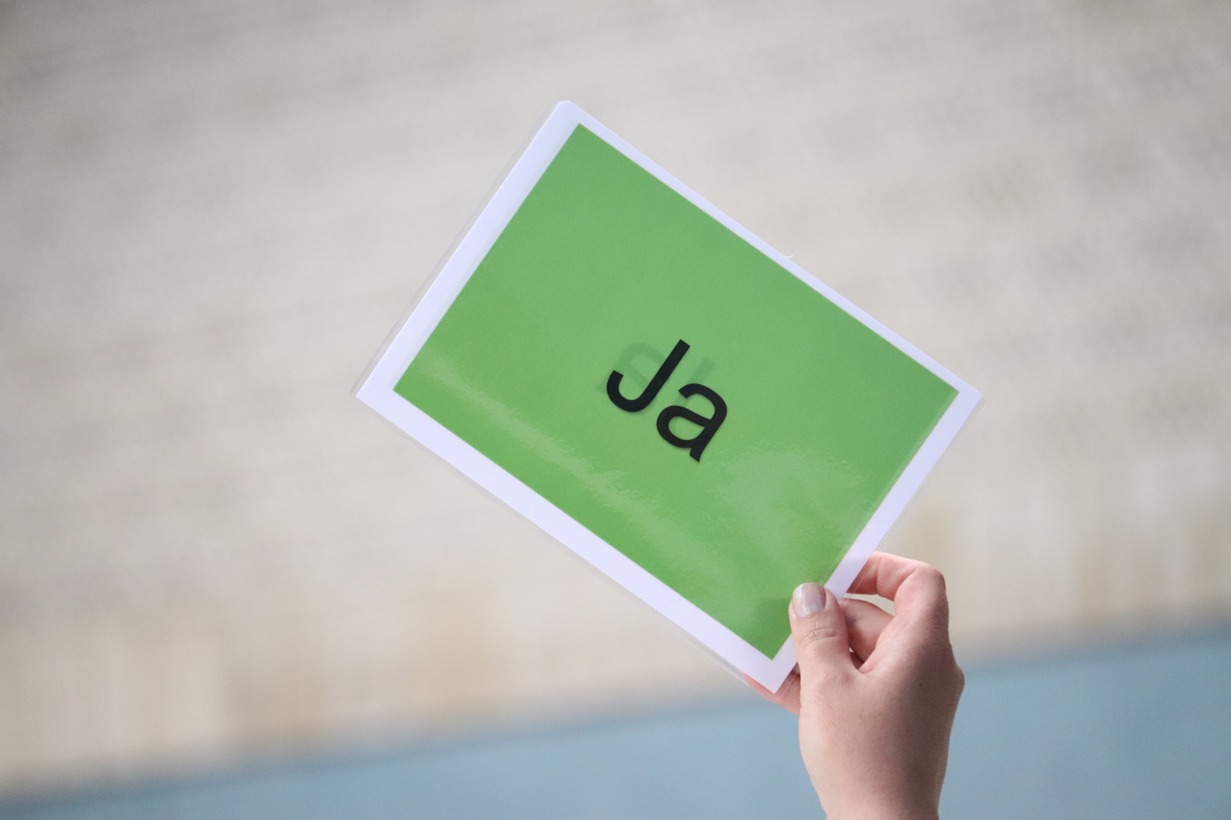 Emporgehaltene Abstimmungskarte "Ja"