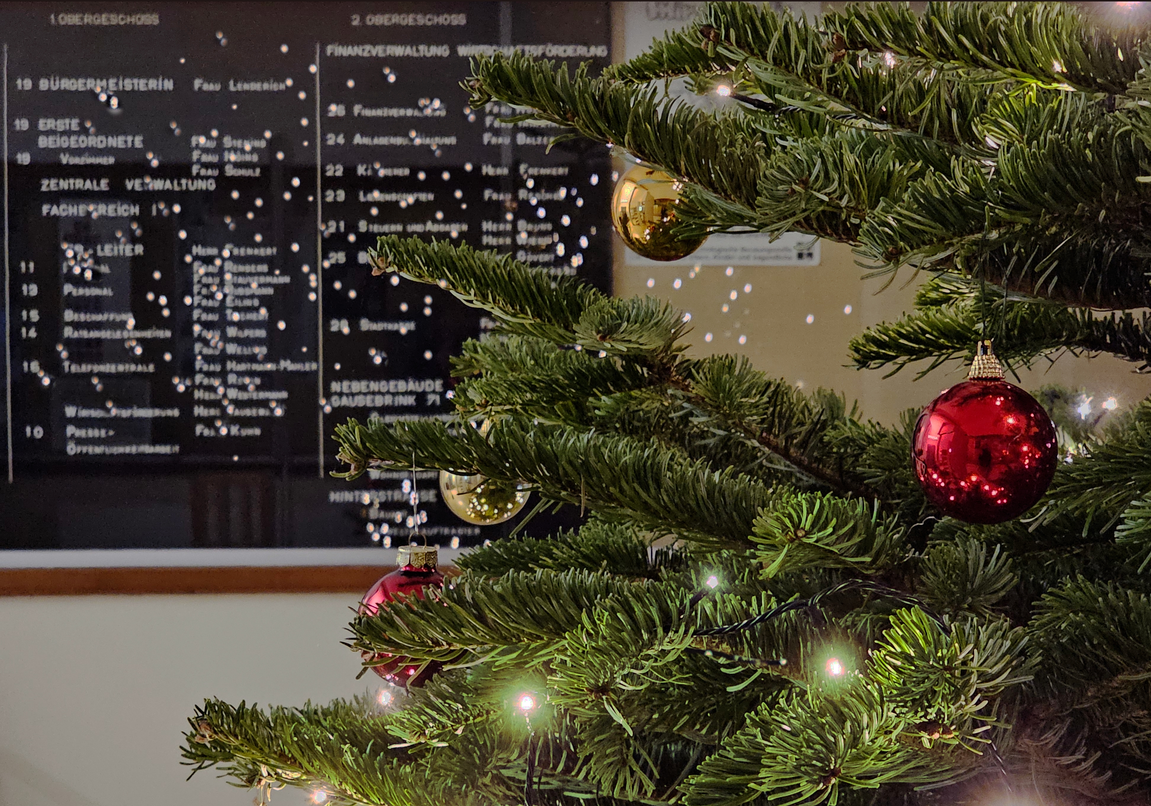 Sie sehen: Weihnachtliche Tannenbaumzweige und Lichter vor einer Anzeigentafel im Rathaus